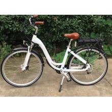 200-250W Motor Electric Bicycle